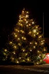 19.11.2022 Christbaum für die Kremser Feuerwehr
